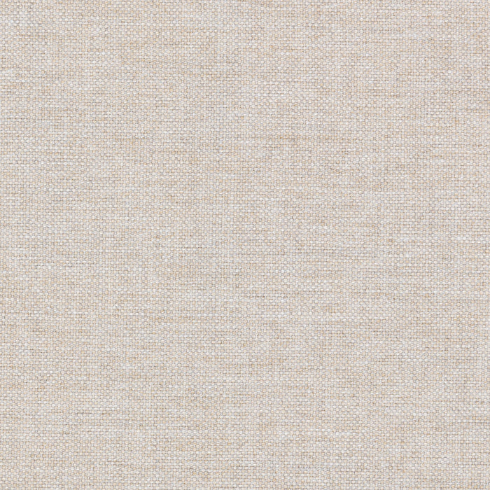 Cassiano - Slip Cover Sofa