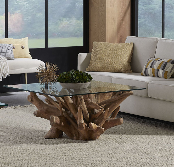 One Teak Root Cof Tbl - Wm T/G